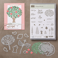 You are currently viewing VIDEO: Thoughtful Branches No-Glue Treat Box